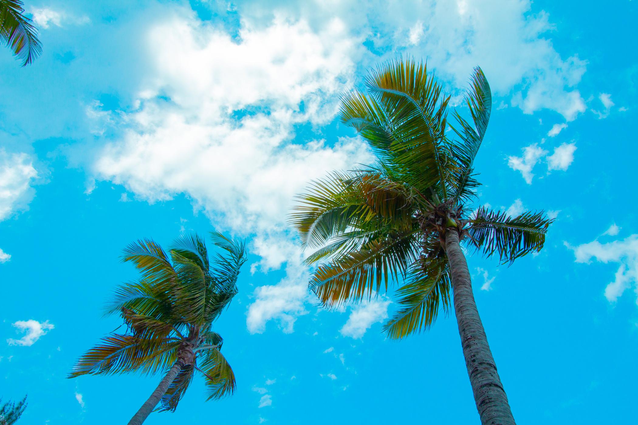 Tryp By Wyndham Isla Verde San Juan Zewnętrze zdjęcie